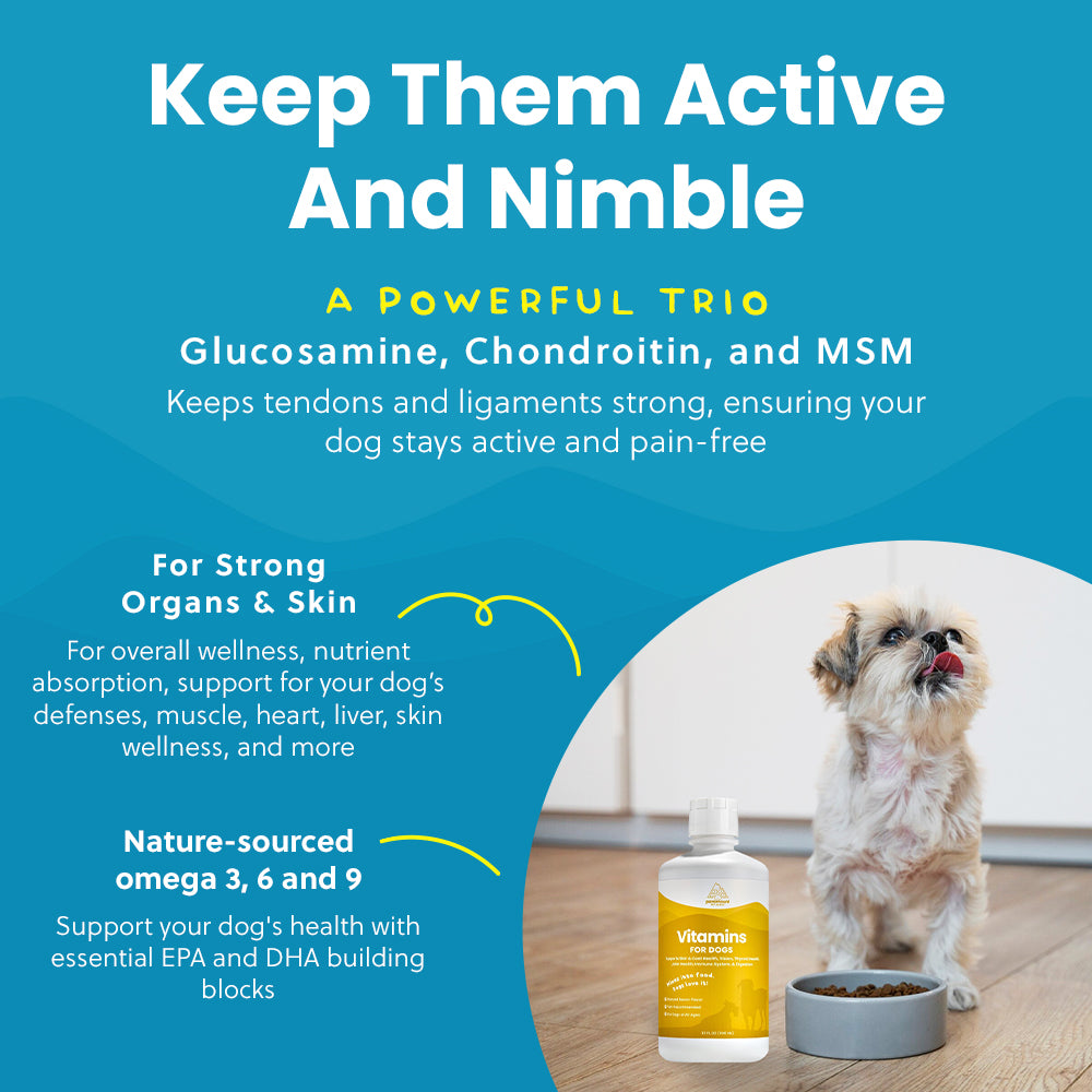 Liquid Vitamins for Dogs