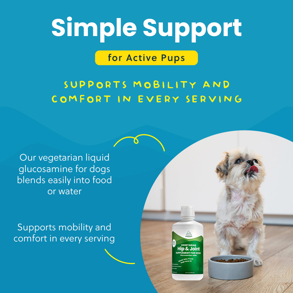 Vegetarian Glucosamine For Dogs