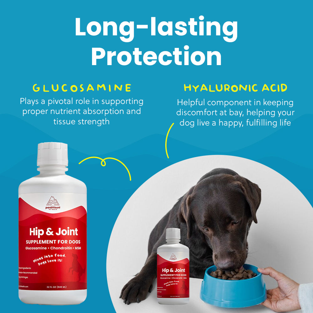 Liquid Glucosamine for Dogs