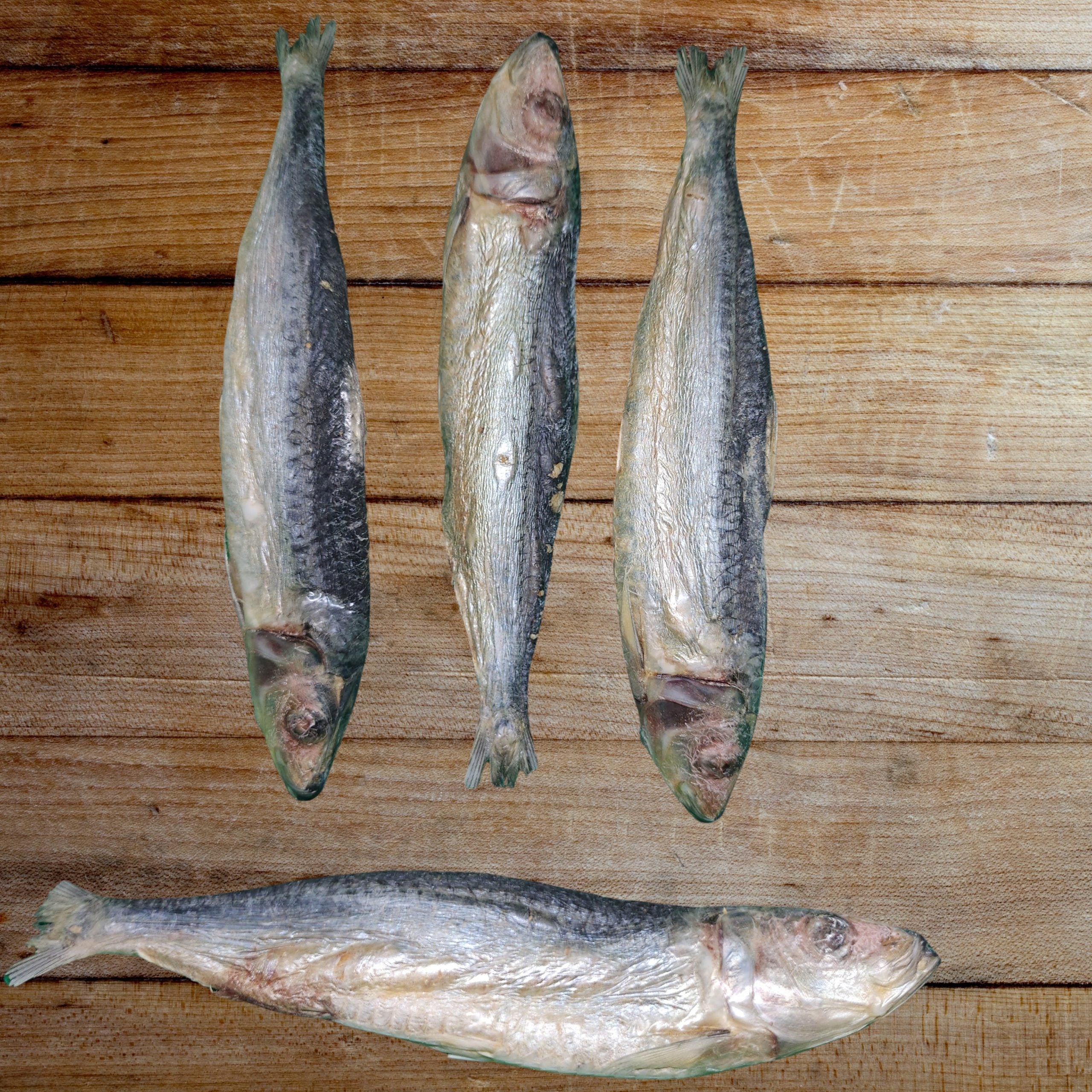 Freeze Dried Sardine