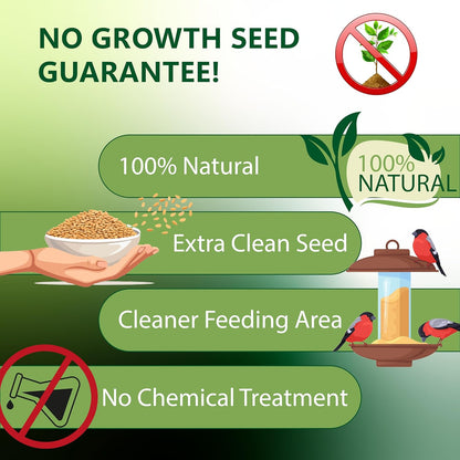 Nyjer/Thistle Seeds Wild Bird Food-13 Ounce | Prefilled Sock | No Grow Seed I Bird Seeds for Wild Birds