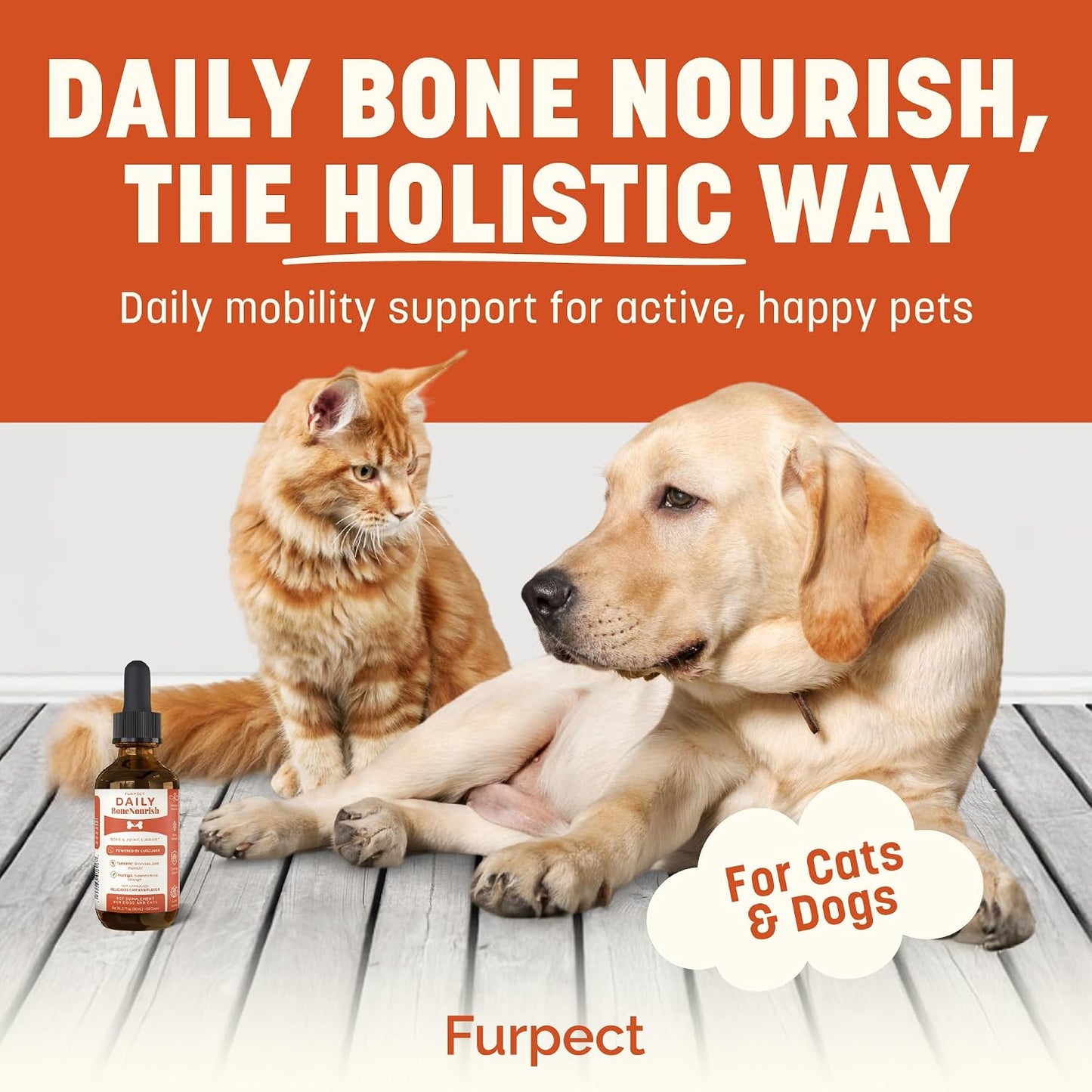 Daily Bone Nourish High Potency Daily Bone & Joint Supplement for Dogs & Cats (Box of 24)