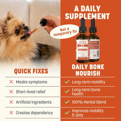 Daily Bone Nourish High Potency Daily Bone & Joint Supplement for Dogs & Cats (Box of 24)