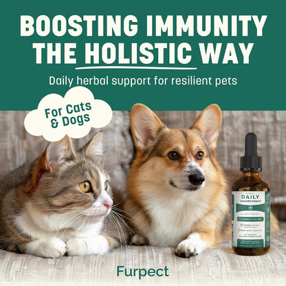 Daily Immunity Support High Potency Daily Immune & Allergy Support for Dogs & Cats (Box of 24)
