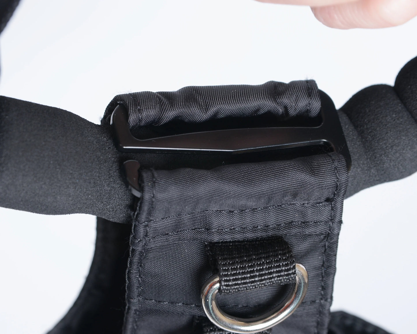 Leash Tote