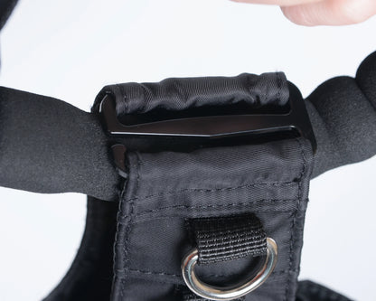 Leash Tote