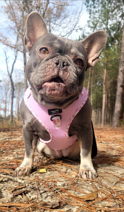 Pink Pastures Walking Set