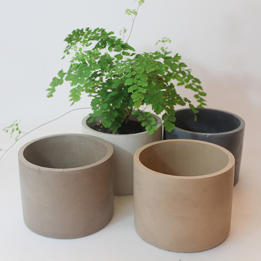 5" Round Basic Planter