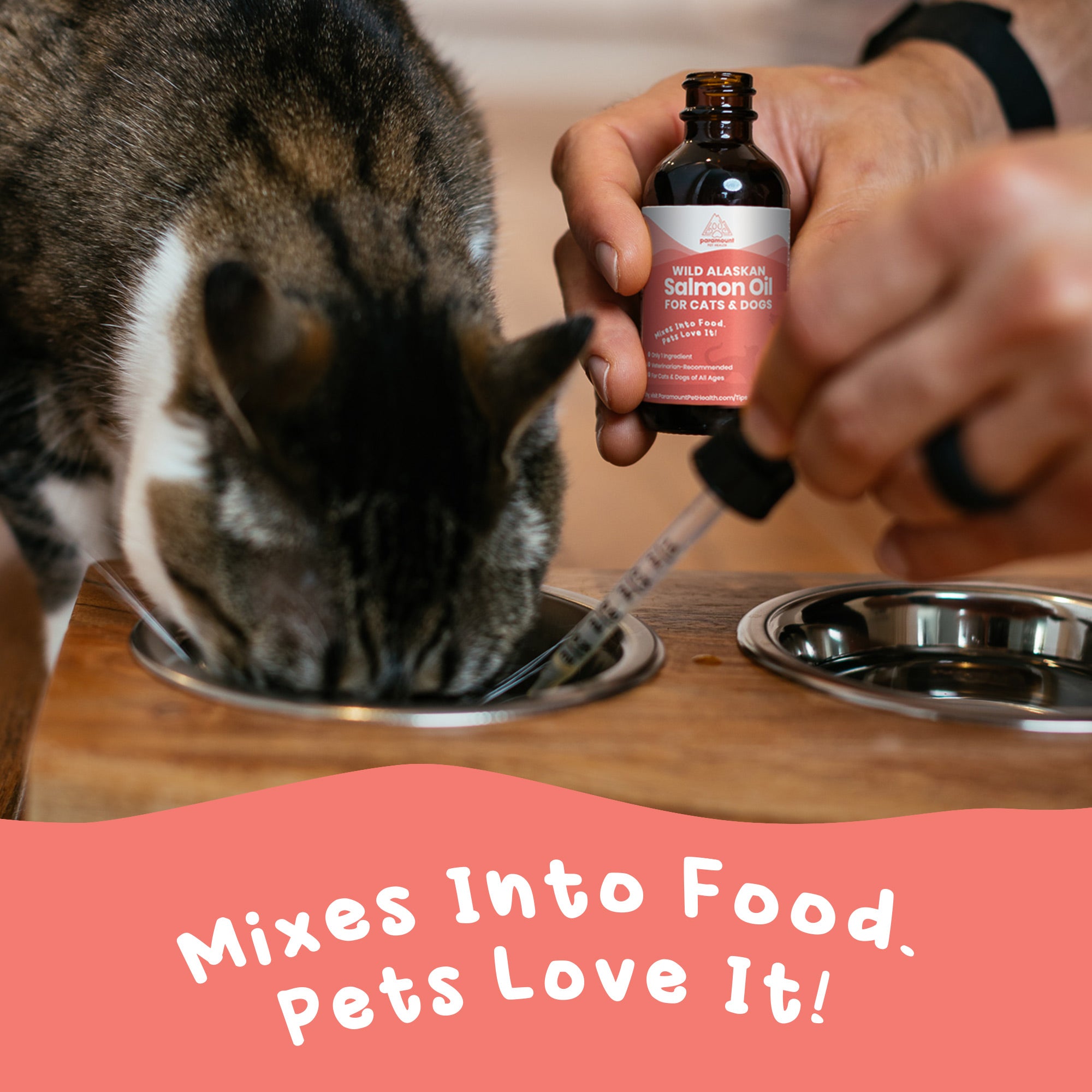 Wild Alaskan Salmon Oil for Cats and Small Dogs