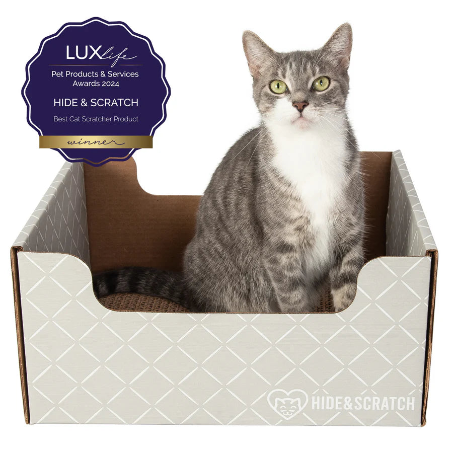 Hide & Scratch Extra-Large Cat Scratcher Box (Case of 15)