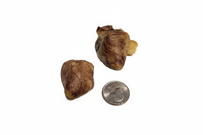 Freeze Dried Turkey Hearts - Jumbo Half Heart 1 LB image 0