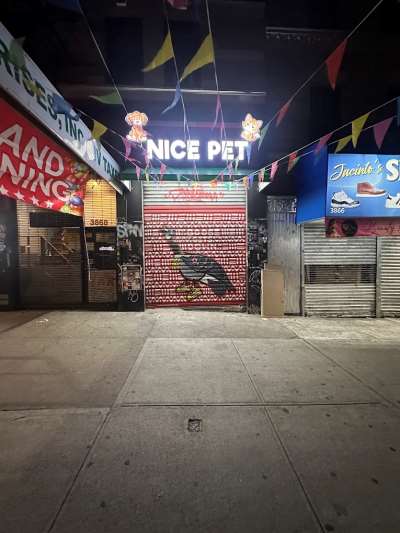Nice Pet