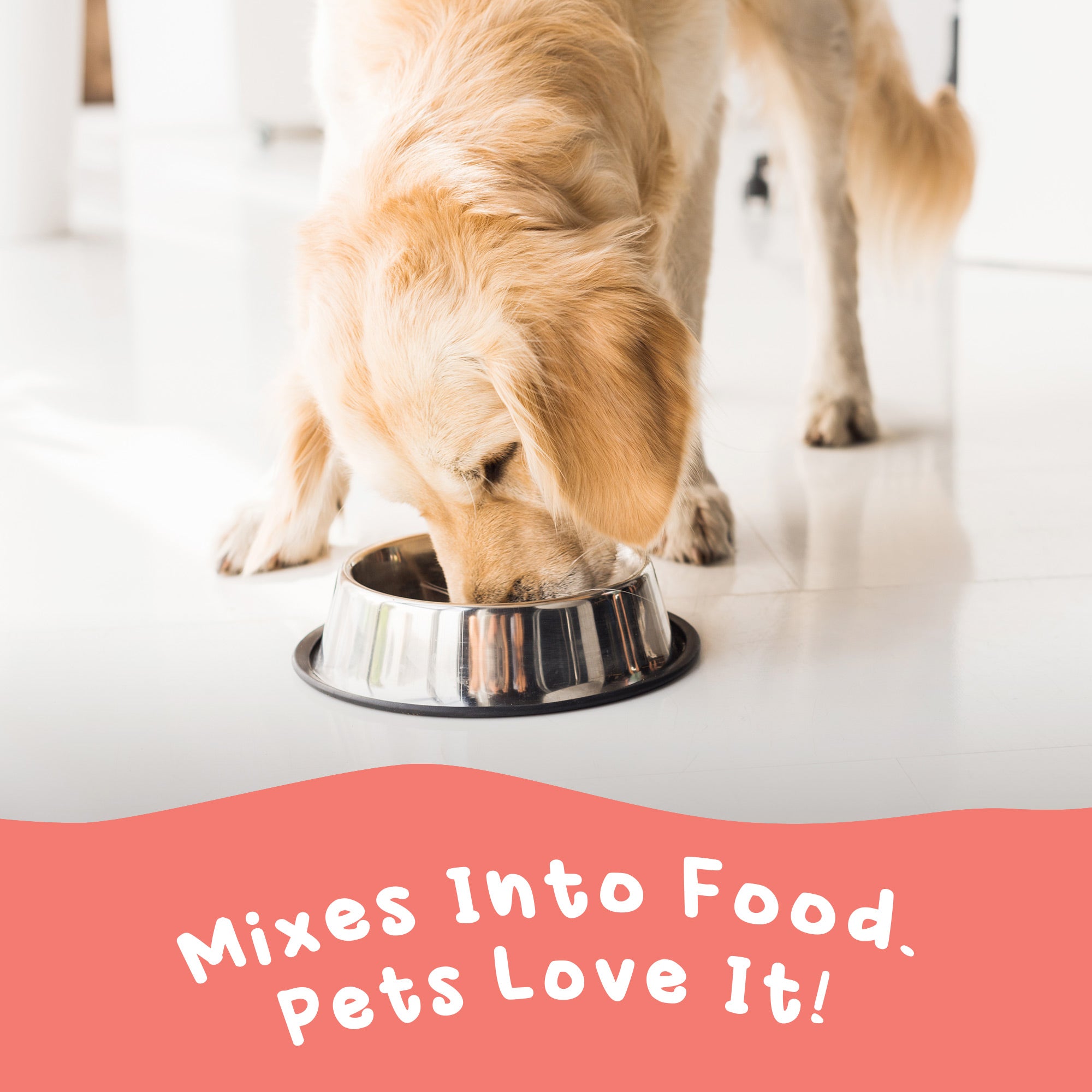 Wild Alaskan Salmon Oil for Dogs and Cats