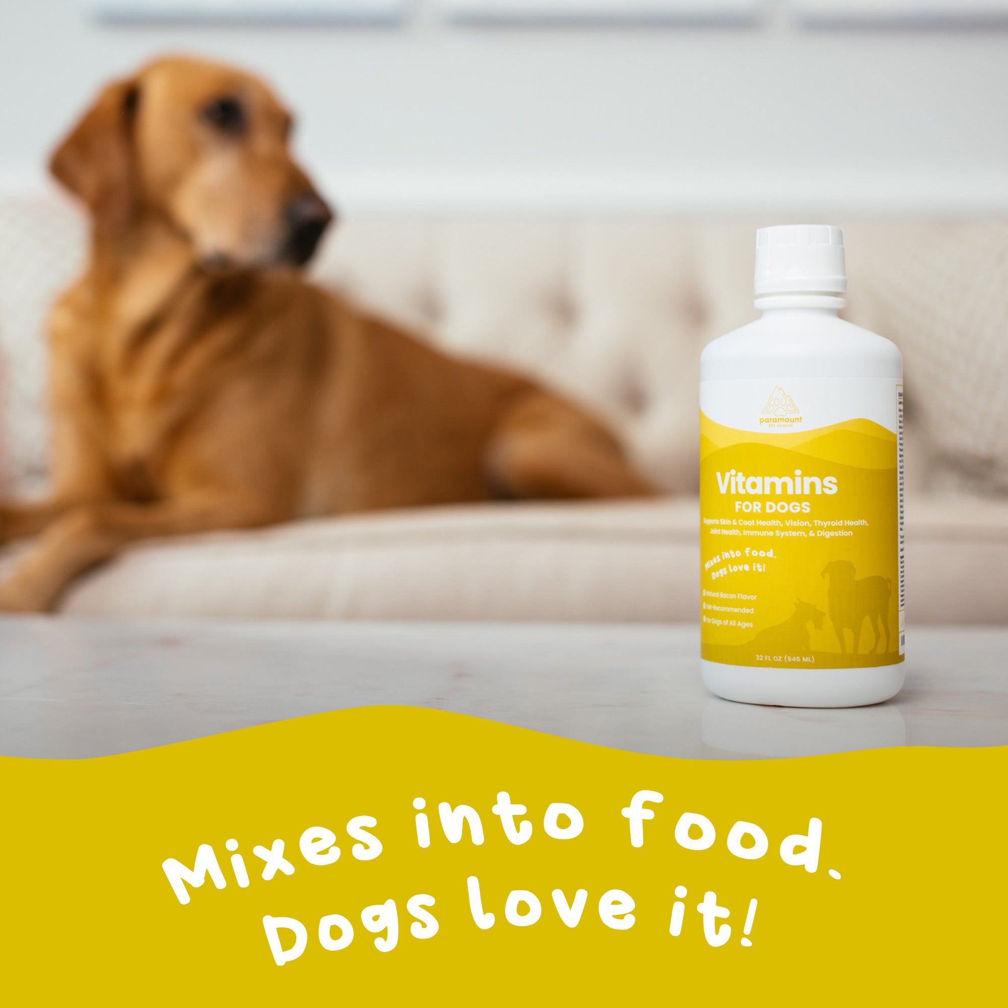 Liquid Vitamins for Dogs