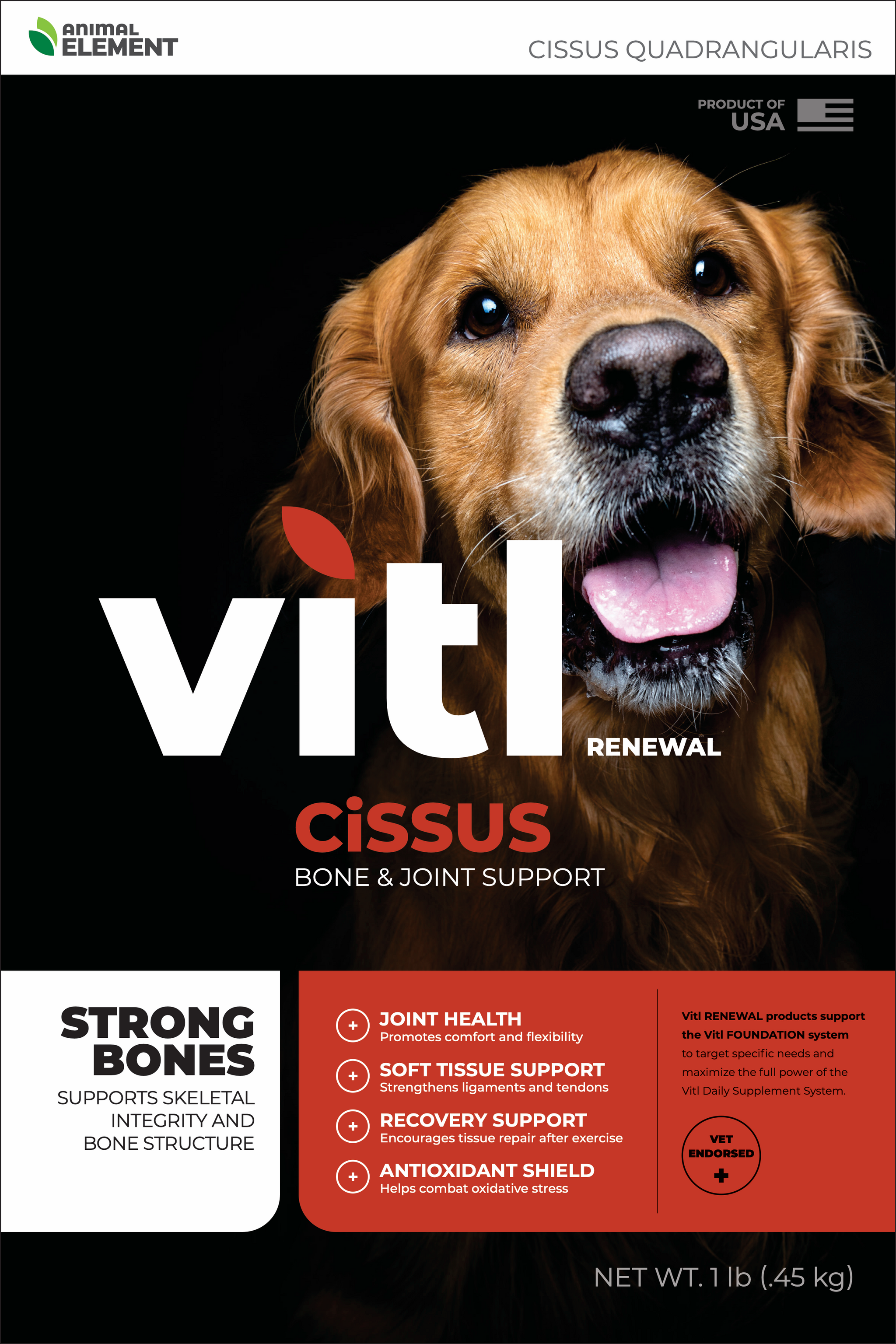 Vitl Renewal: Cissus Quadrangularis