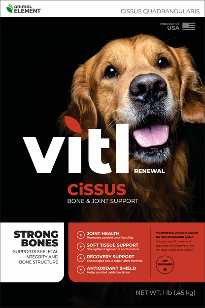 Vitl Renewal: Cissus Quadrangularis