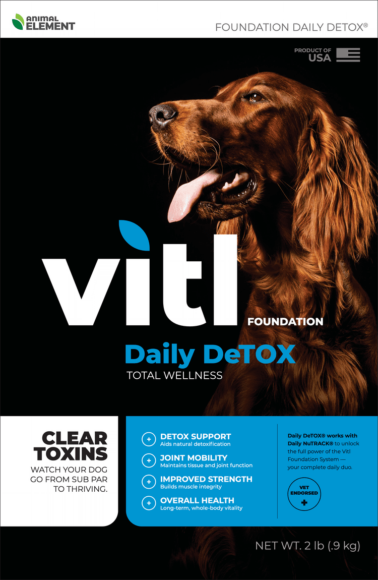 Vitl Foundation: DailyDetox