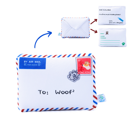 Woof² Hong Kong Airmail Nose-work Pet Toy