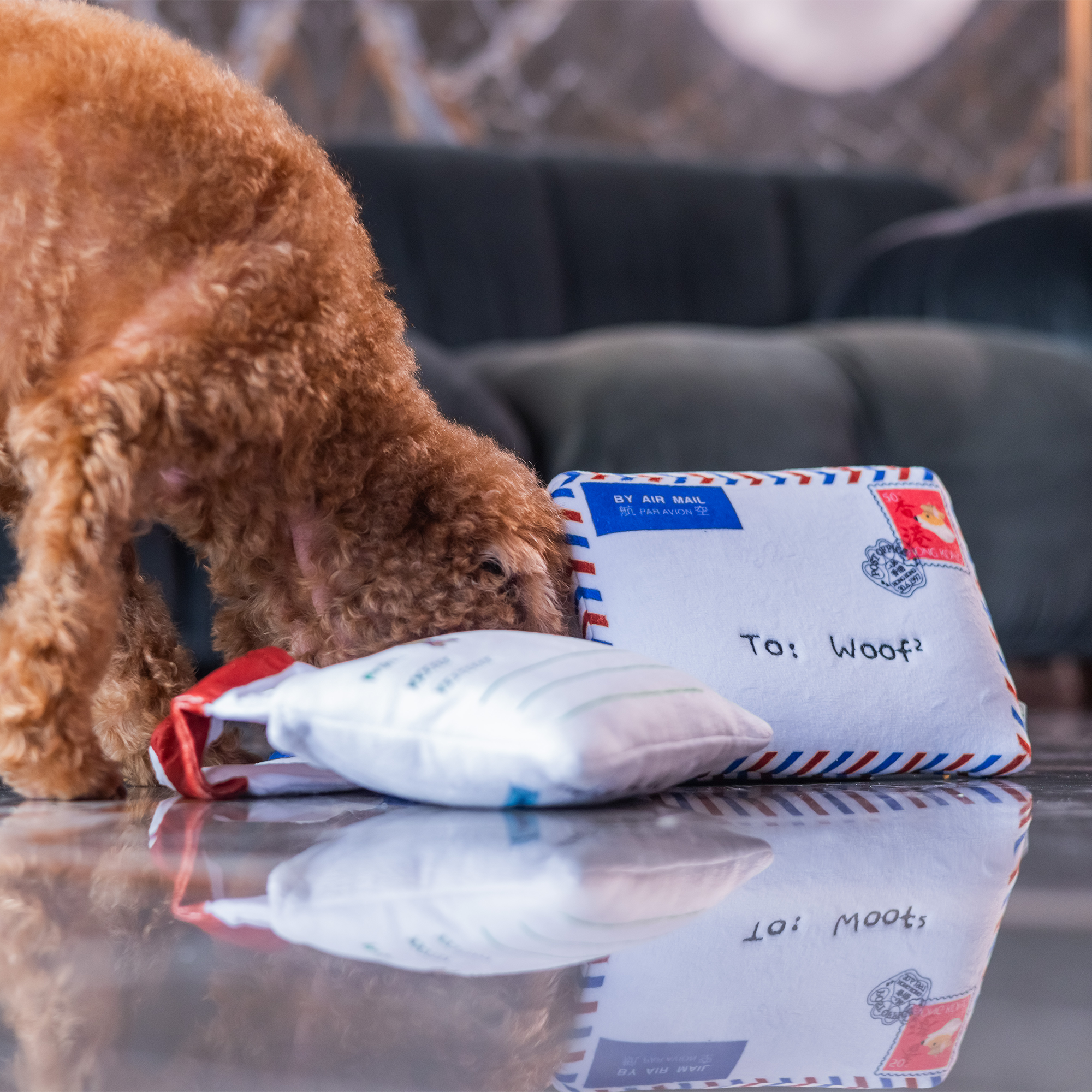 Woof² Hong Kong Airmail Nose-work Pet Toy