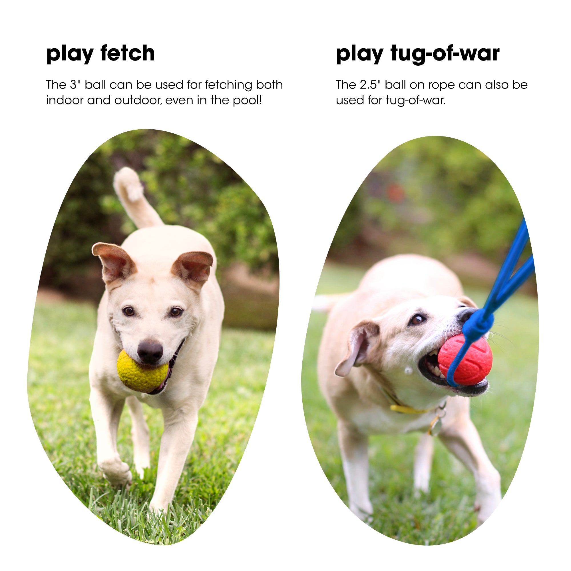 Rope & Ball Gift Set