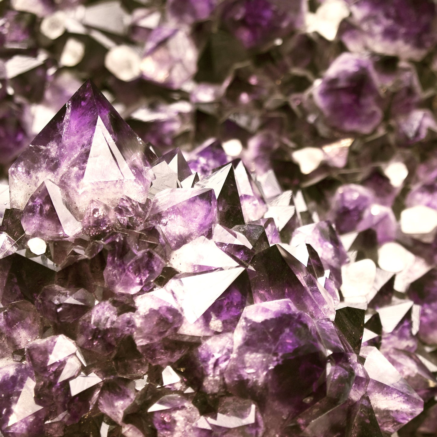 Amethyst Riser