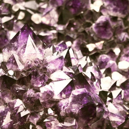Amethyst Riser
