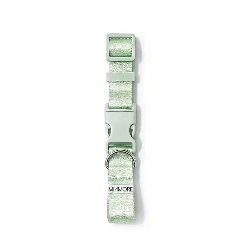 Amore Dog Collar in Mint Green