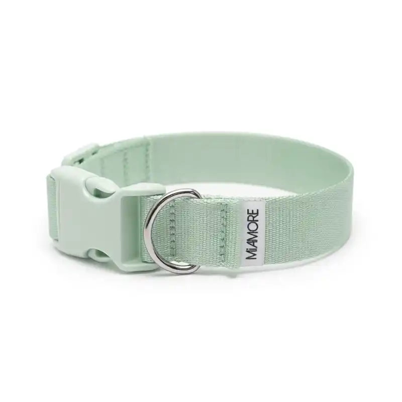 Amore Dog Collar in Mint Green