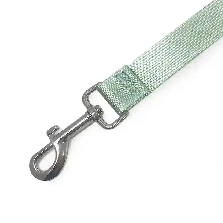 Amore Dog Leash in Mint Green