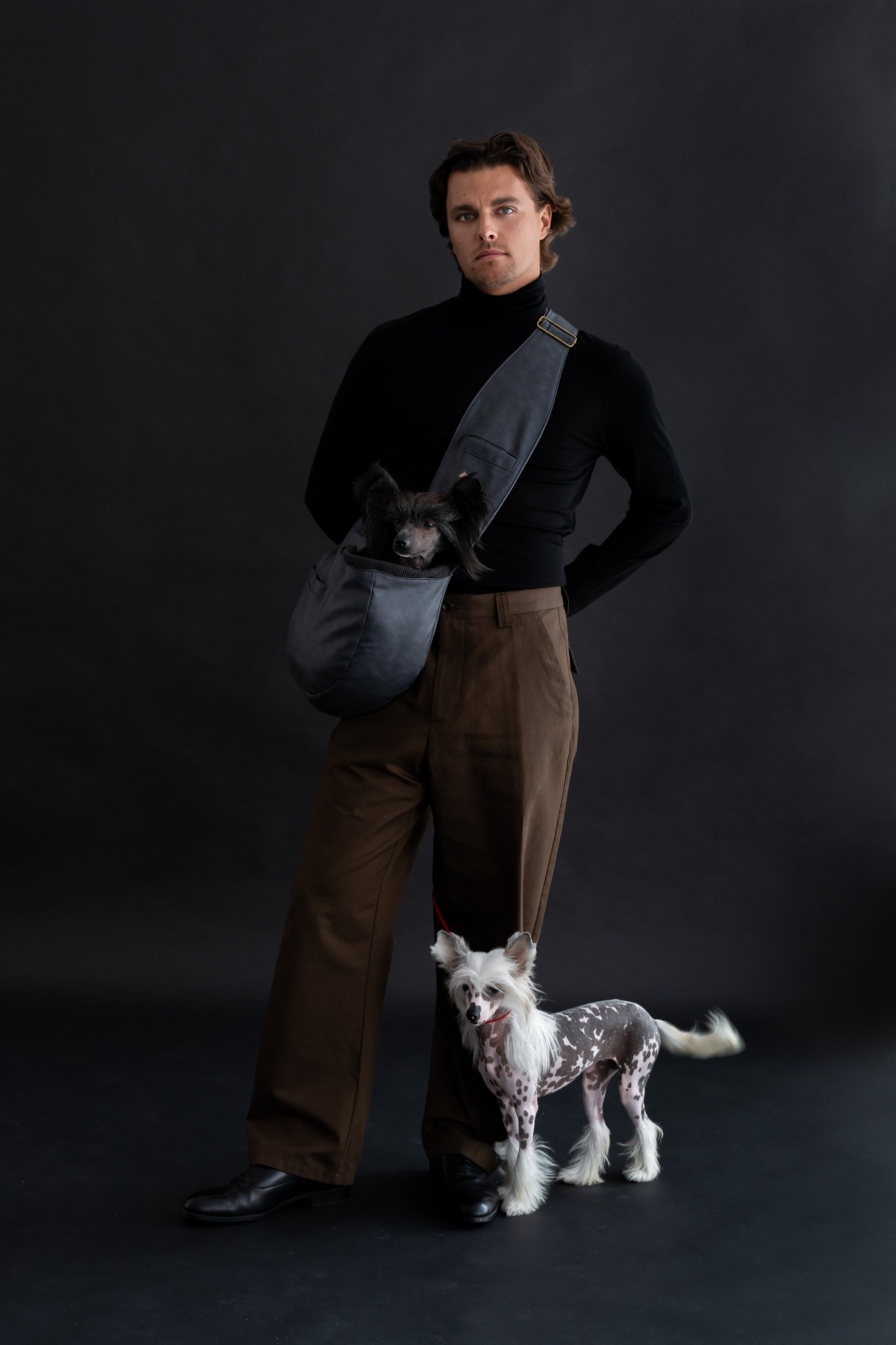 Vegan Leather Pet sling Carrier 3x Safety