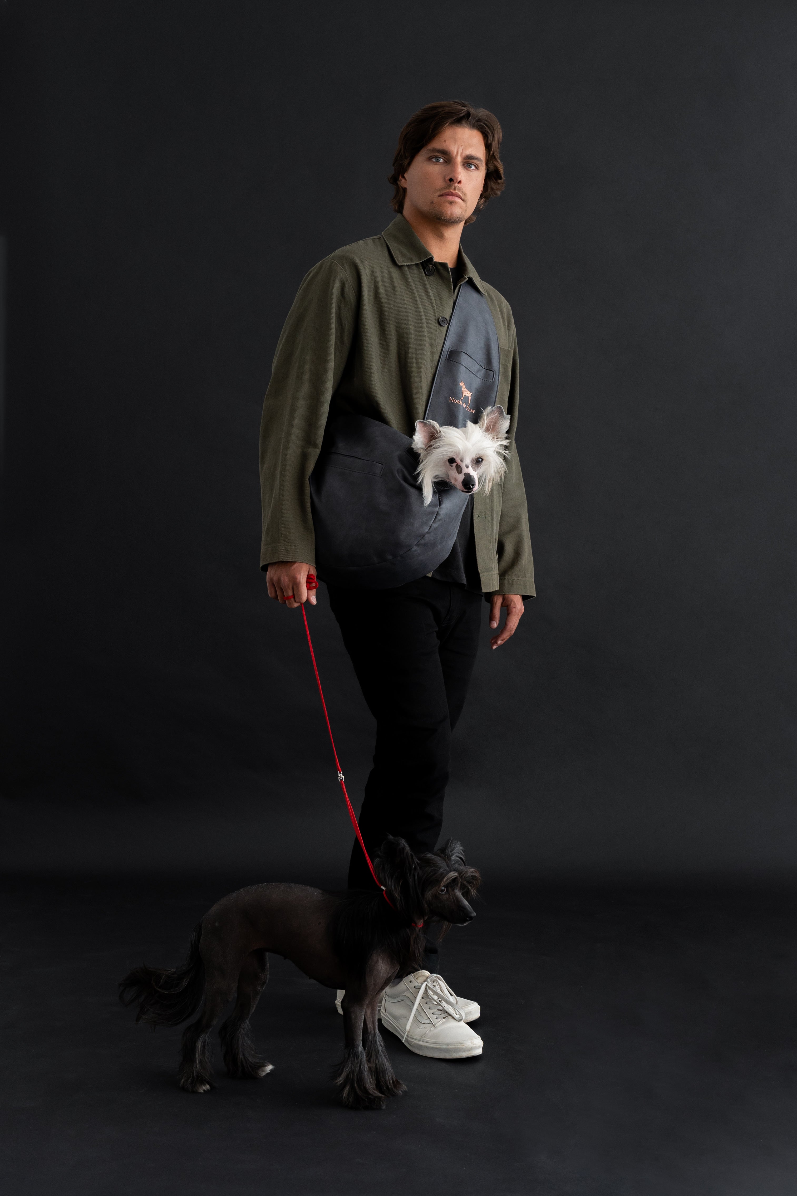 Vegan Leather Pet sling Carrier 3x Safety