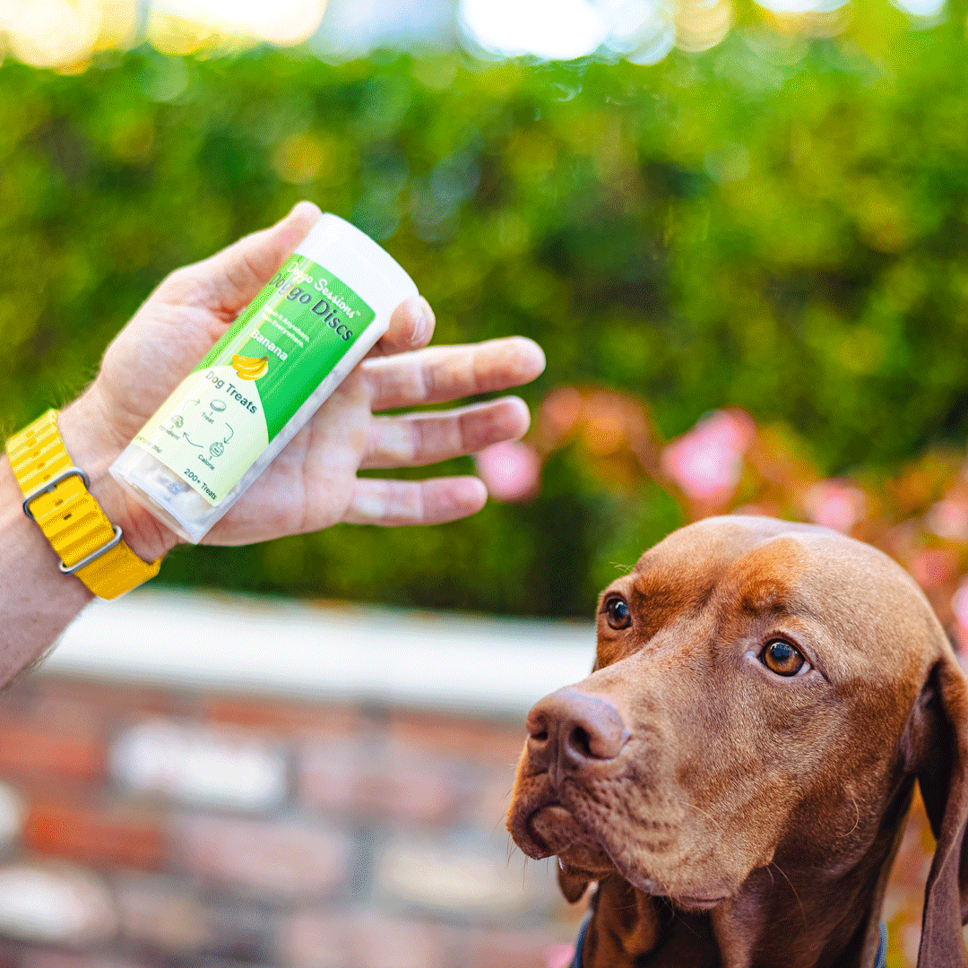 Doggo Discs - The Perfect Dog Training Treat