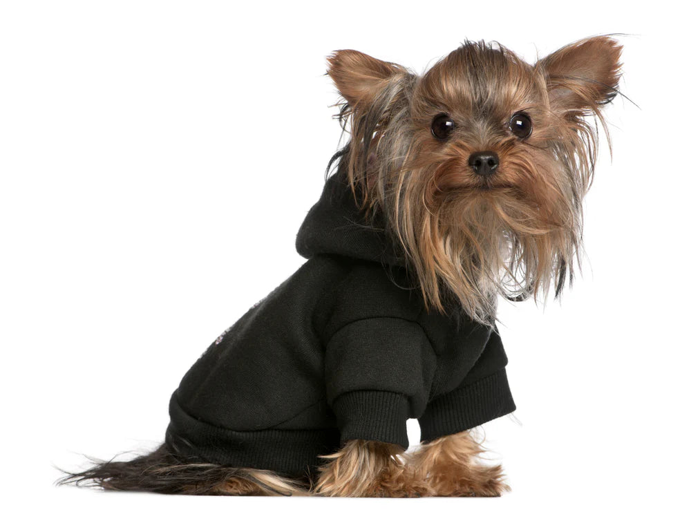 Plain Dog Cat Hoodie for Pets