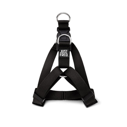 Step In Harness