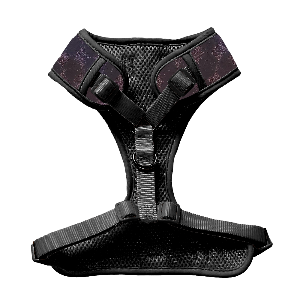 Black Diamond Sparkle Harness