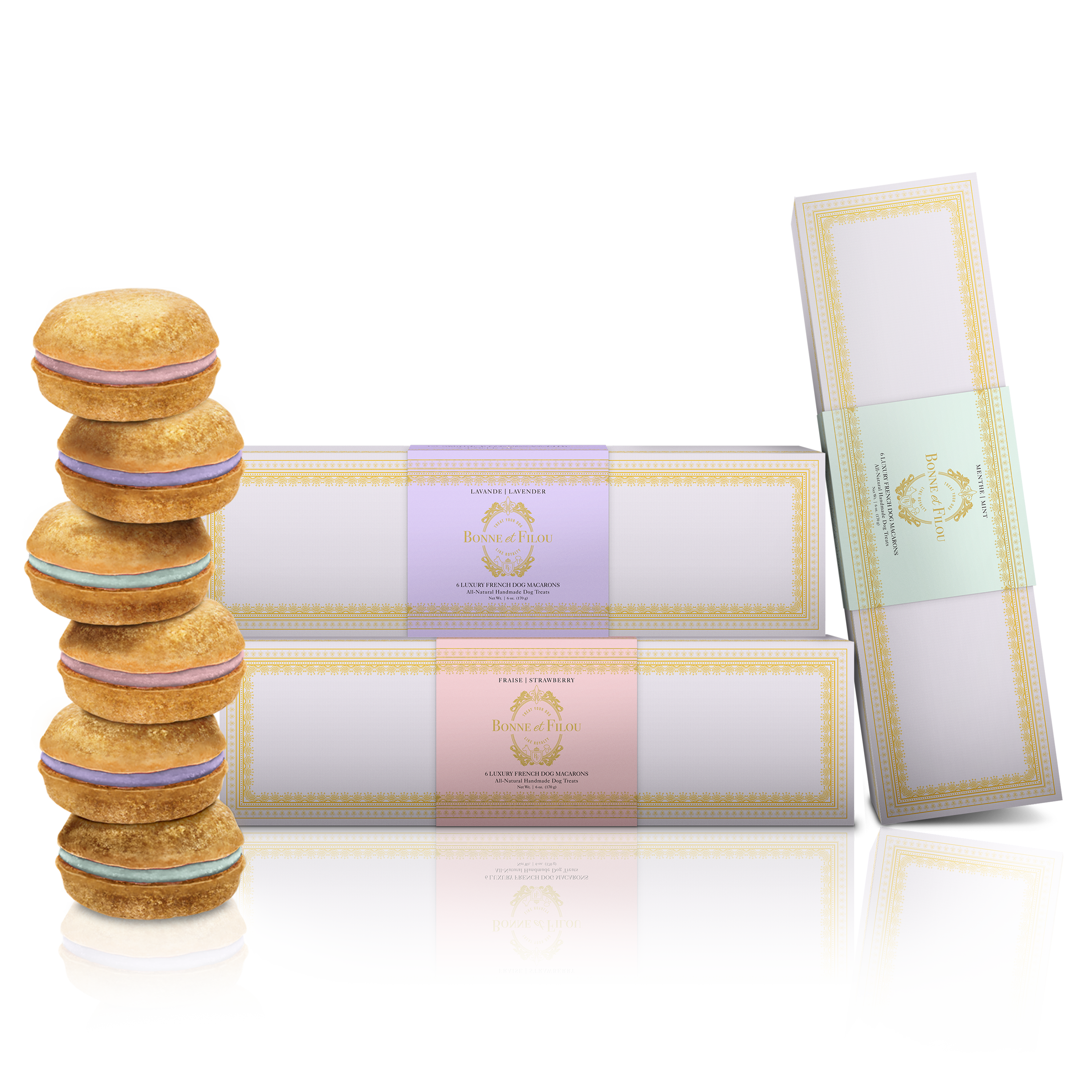 Bundle of 3-Boxes Dog Macarons + Elevated Pet Feeder