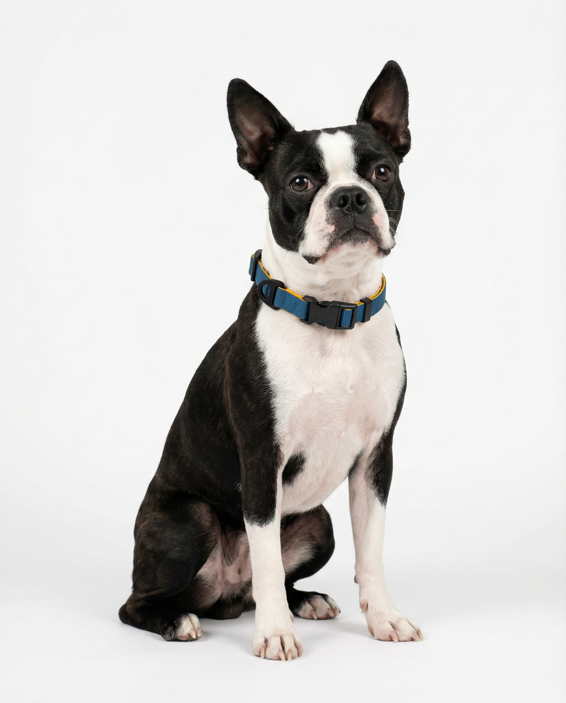 Hexagon Collar - Waterproof Collar For Small Dogs