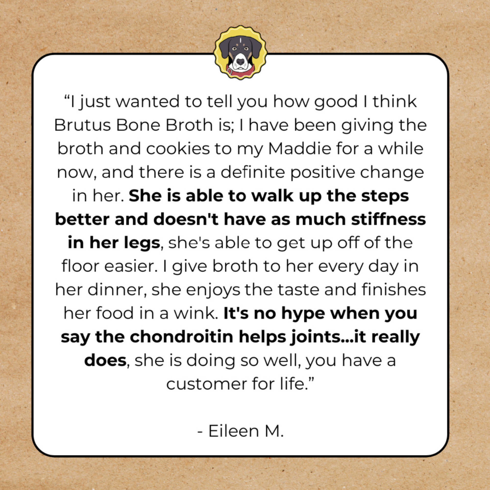 Mini Hip & Joint Formula - Beef Bone Broth