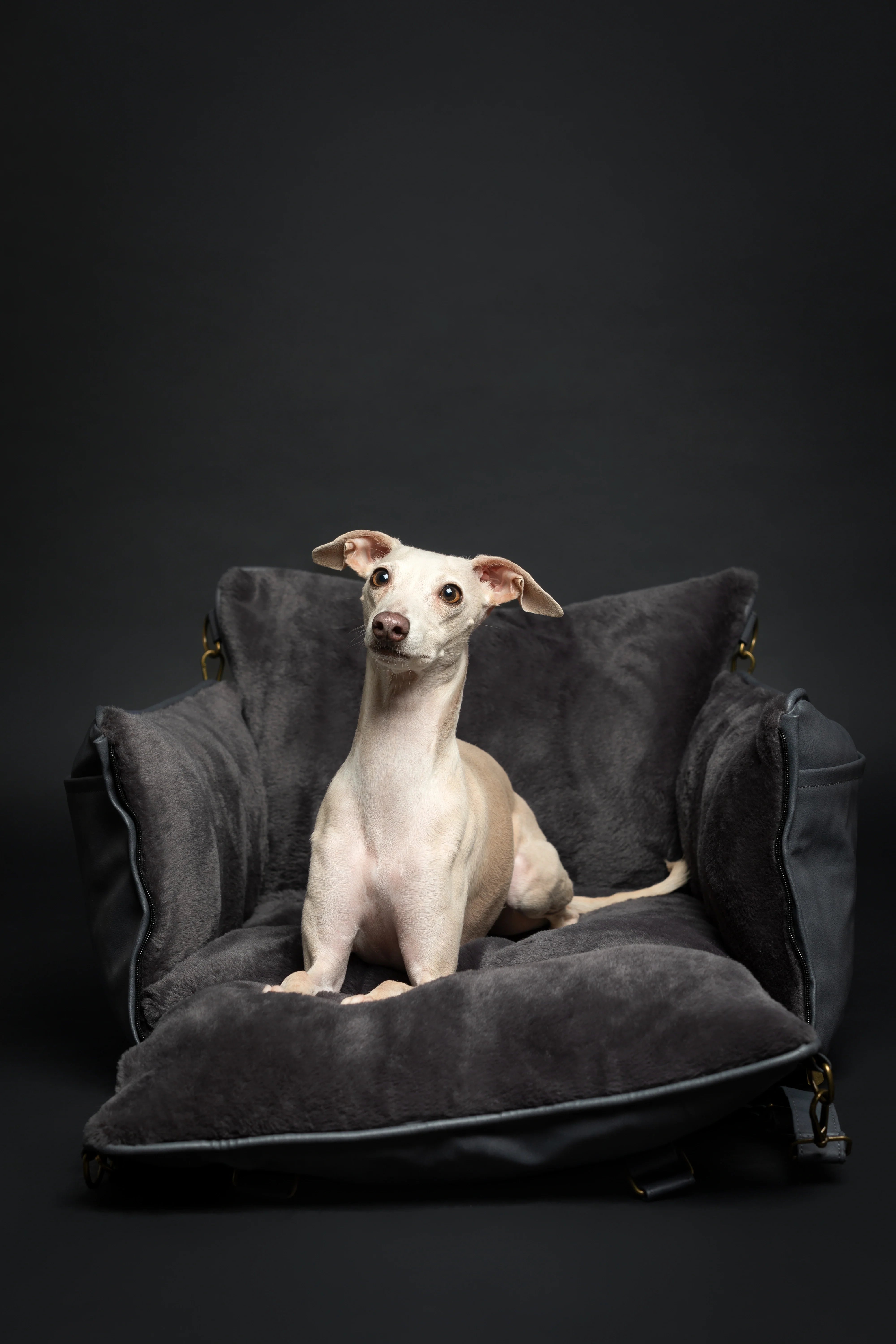 Dog Car Seat Carrier Orthopedic Crushed Foam, Black, Vegan Leather