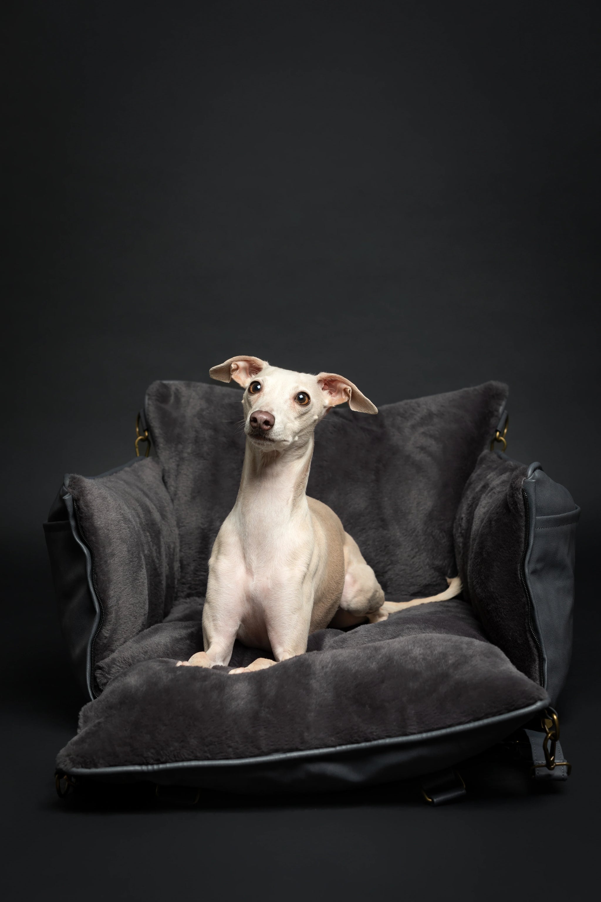 Dog Car Seat Carrier Orthopedic Crushed Foam, Black, Vegan Leather