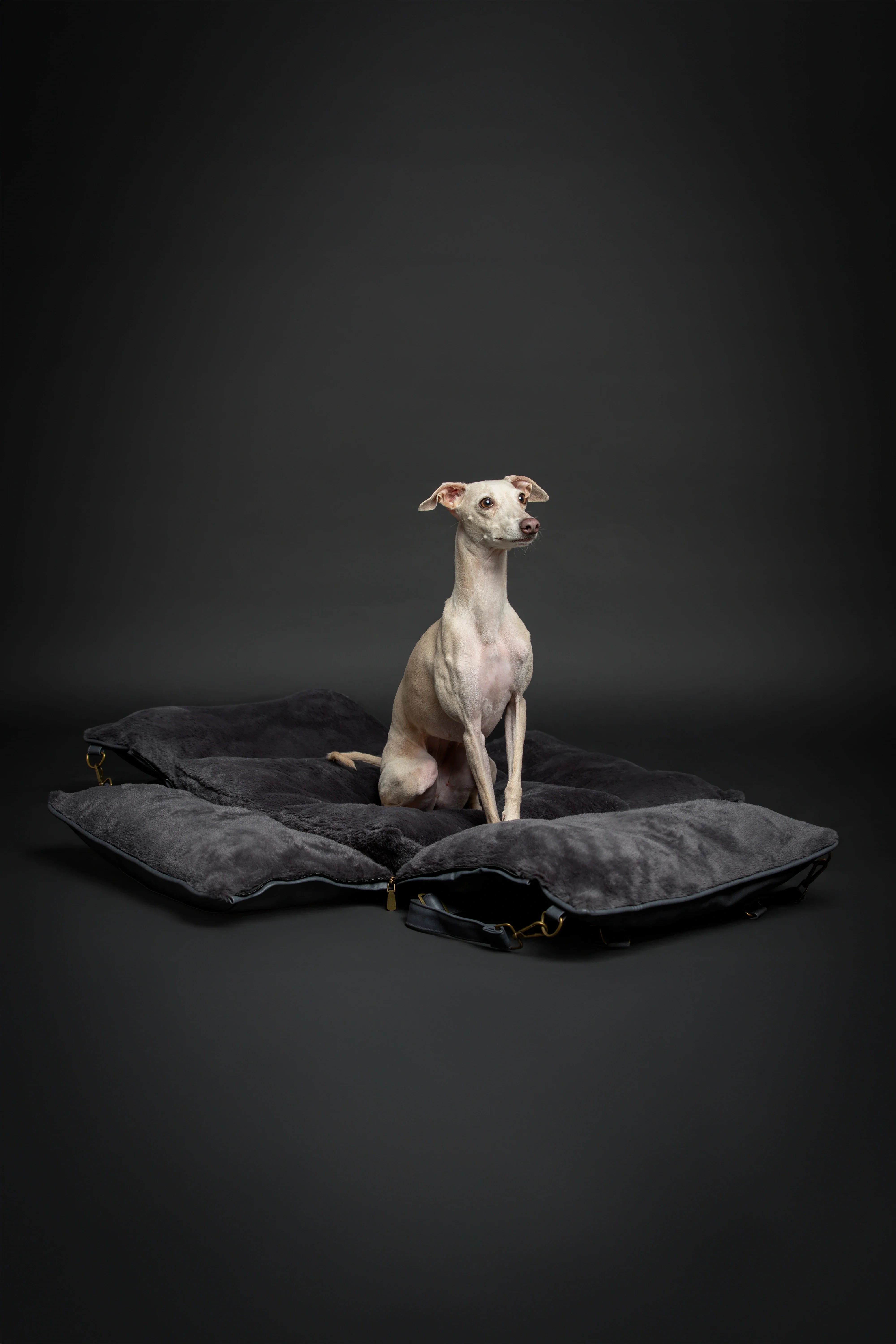 Dog Car Seat Carrier Orthopedic Crushed Foam, Black, Vegan Leather