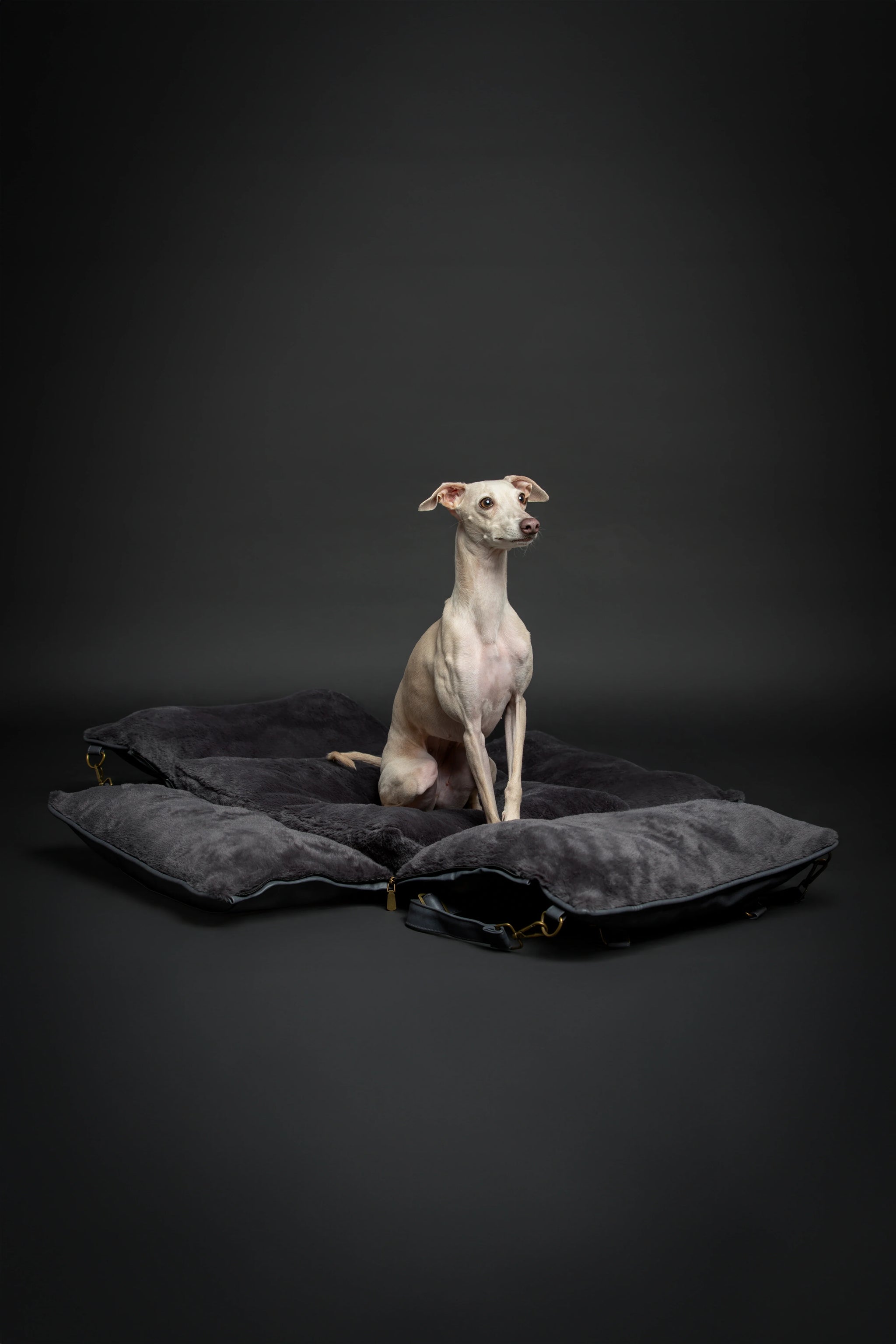 Dog Car Seat Carrier Orthopedic Crushed Foam, Black, Vegan Leather