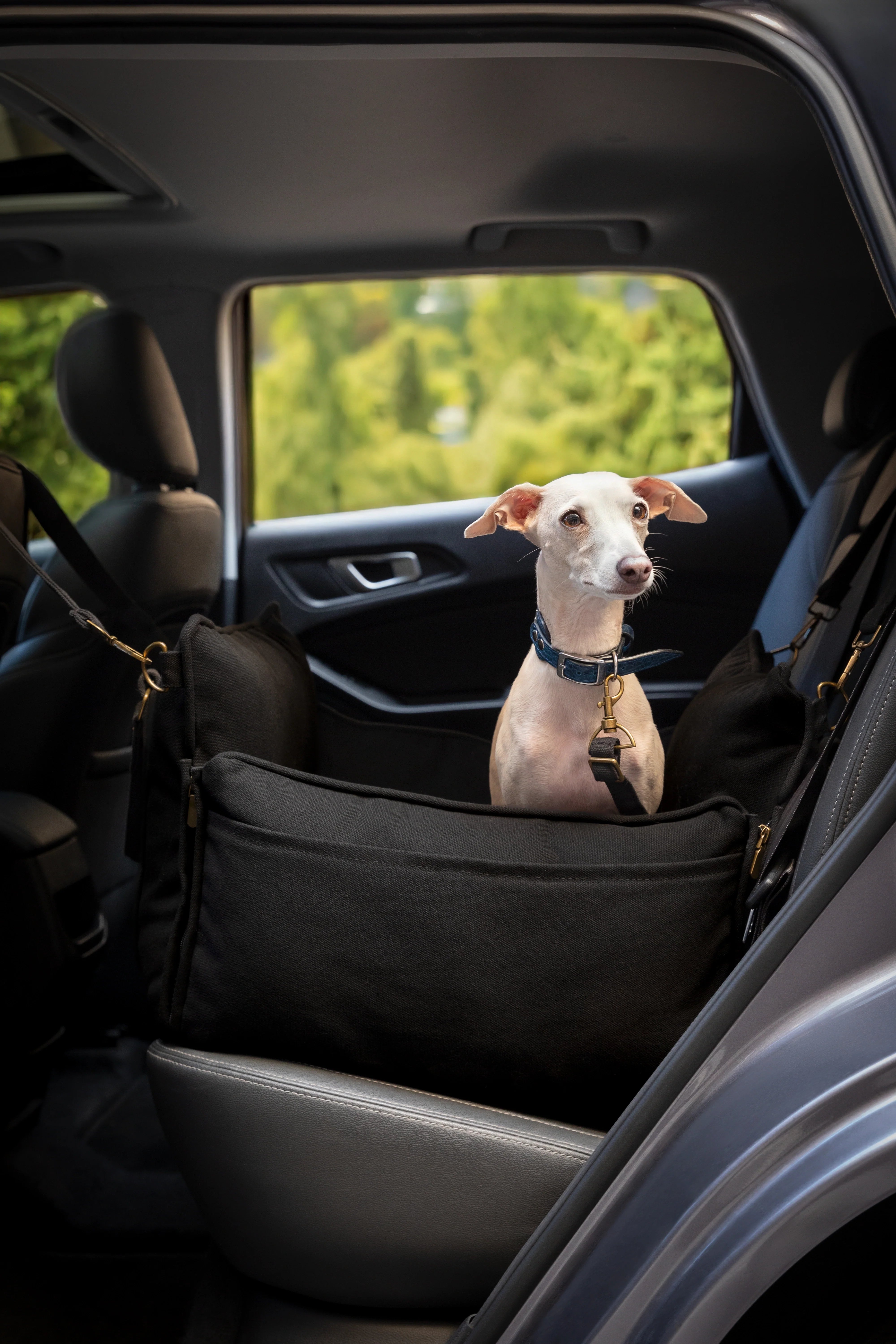 Dog Car Seat Carrier Orthopedic Crushed Foam, Black, Canvas