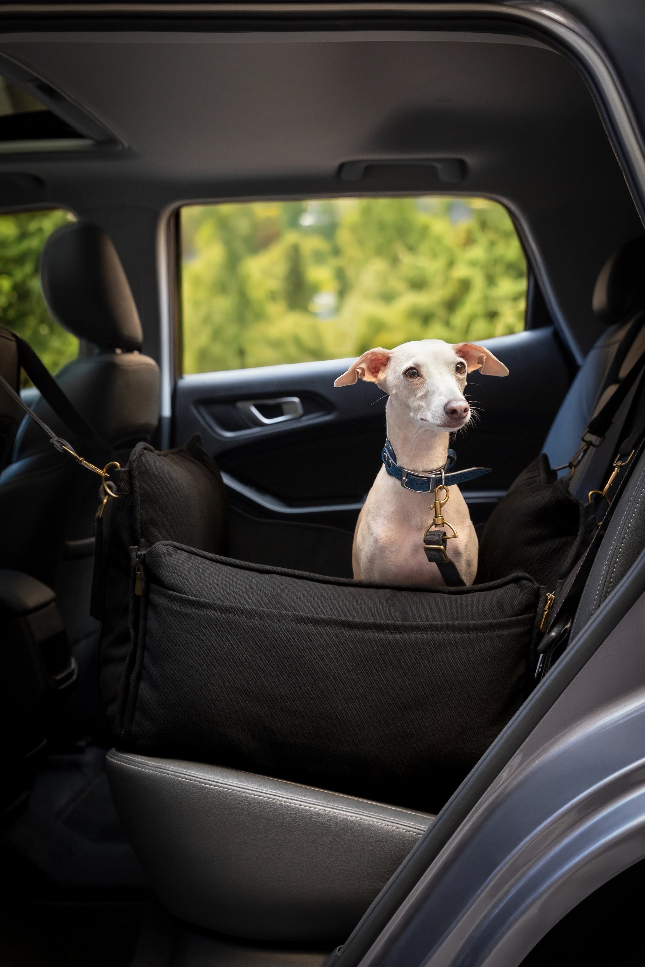 Dog Car Seat Carrier Orthopedic Crushed Foam, Black, Canvas