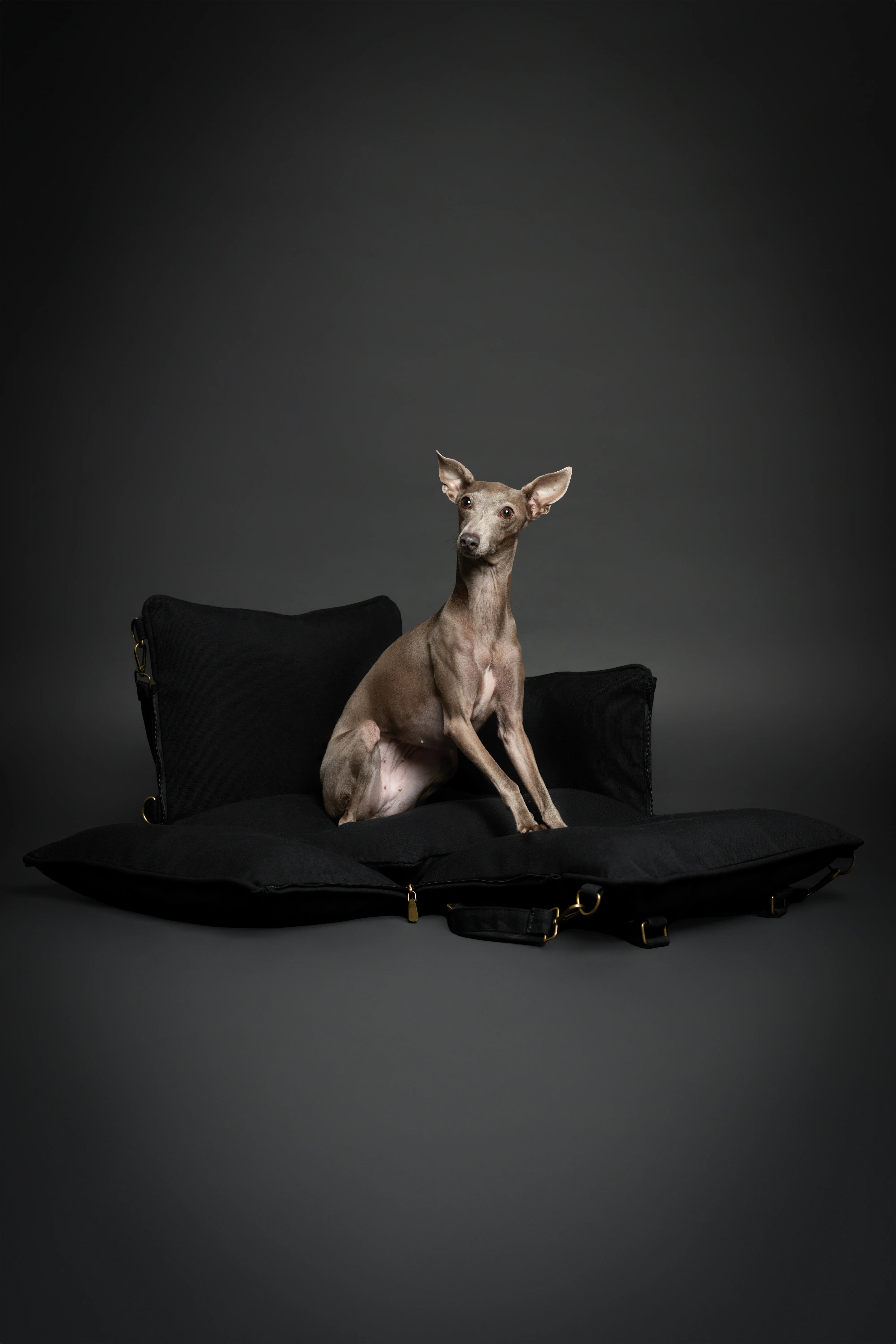 Dog Car Seat Carrier Orthopedic Crushed Foam, Black, Canvas