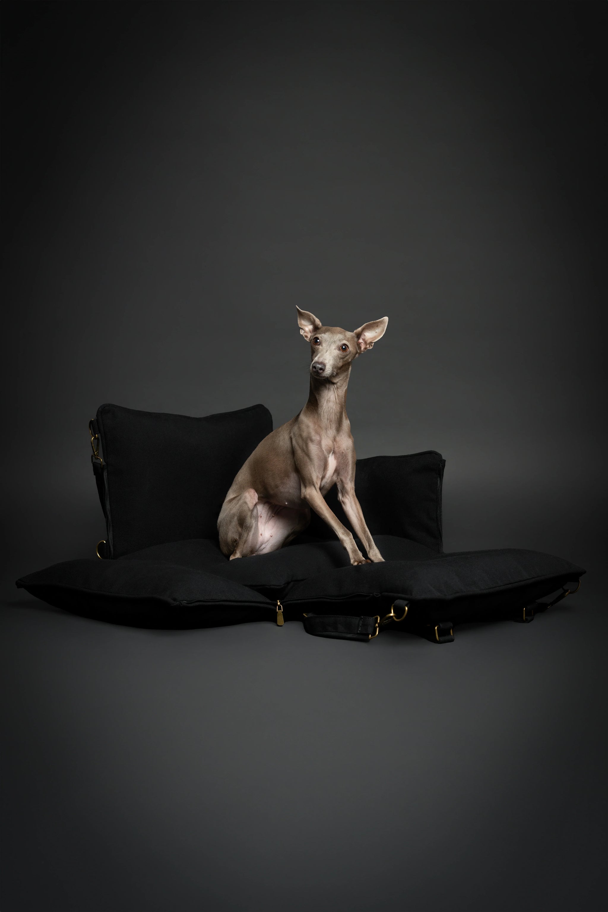 Dog Car Seat Carrier Orthopedic Crushed Foam, Black, Canvas