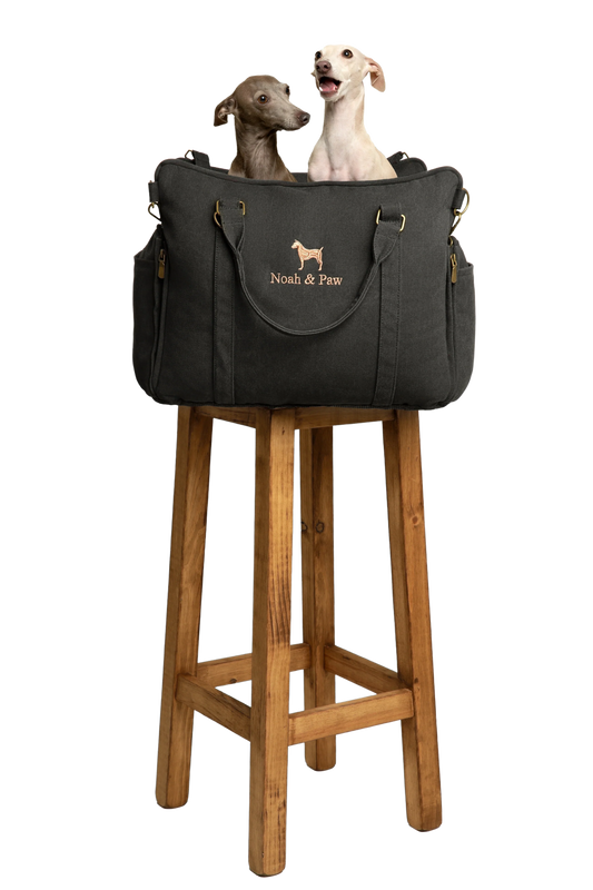 Dog Car Seat Carrier Orthopedic Crushed Foam, Charcoal, Canvas