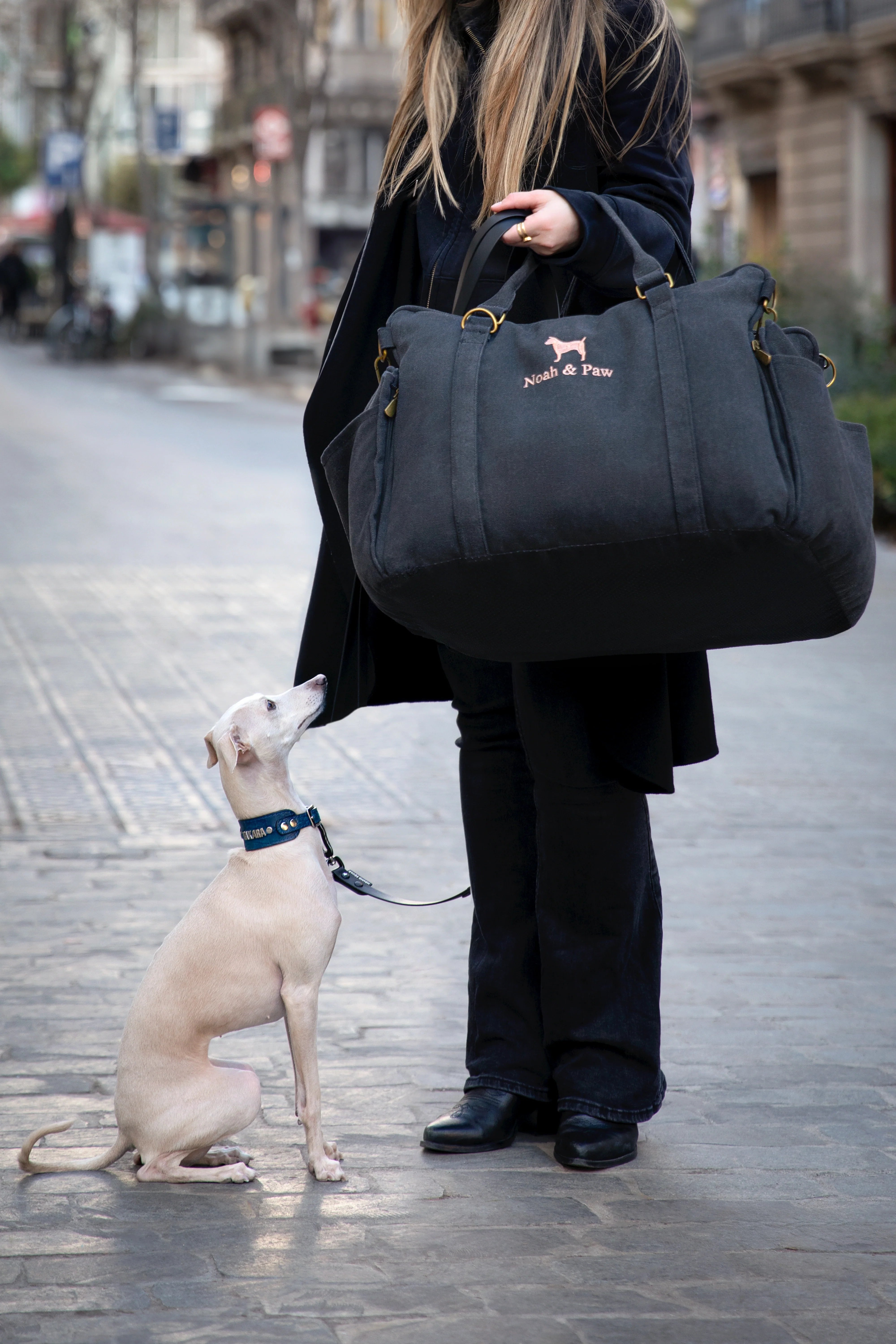 Dog Car Seat Carrier Orthopedic Crushed Foam, Charcoal, Canvas