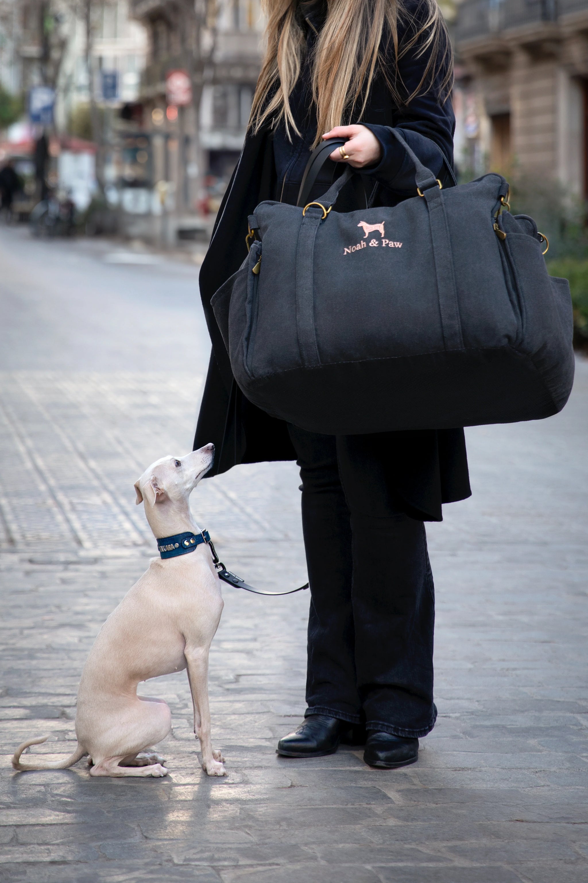 Dog Car Seat Carrier Orthopedic Crushed Foam, Charcoal, Canvas