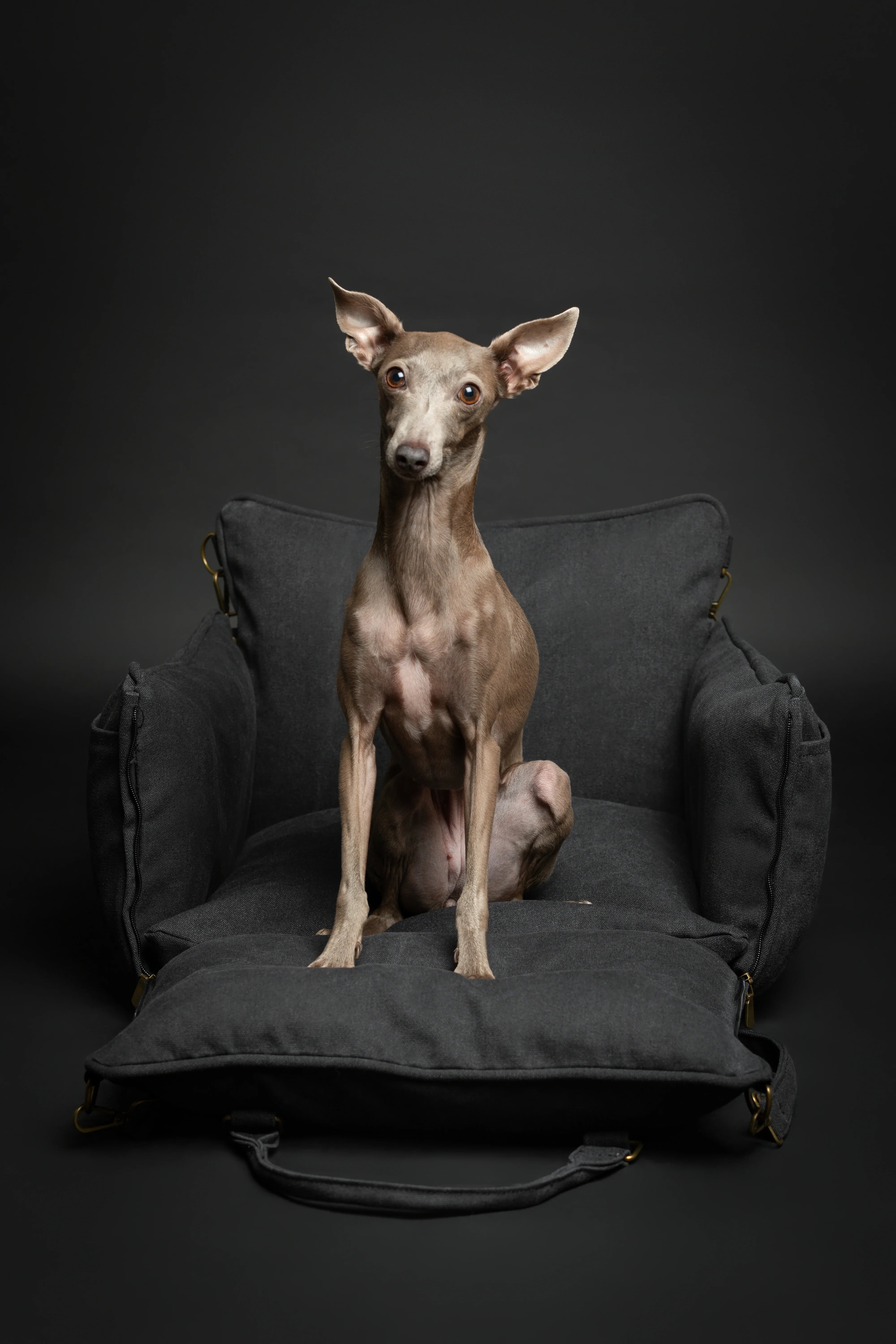 Dog Car Seat Carrier Orthopedic Crushed Foam, Charcoal, Canvas